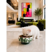 Mama Kabı Kedi Ve Köpek 1 Adet Doğal Mama Veya Su Kabı Yeşil Marble