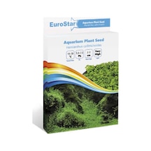 Eurostar Bitki Toh Hemianthus Callitrichoides One Size