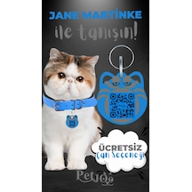 Petjoo 5.Jane Martinke Gri-Mavi Qr'lı Kedi Künyesi