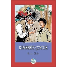 Kimsesiz Çocuk - Hector Malot - Mavi Çatı Yayınları