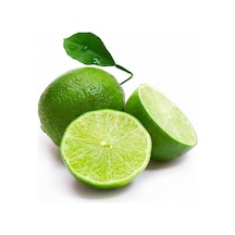 2 Yaş Aşılı Tahiti Lime Yeşil Limon Fidanı. Torbada