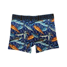 Boxer - Fısh