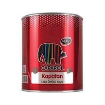 Filli Boya Caparol Kapatan 0,25 Lt