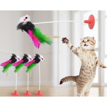 Vantuzlu  Fare Kedi Oyuncağı