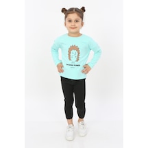 Mint Yeşili