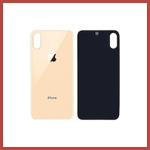 Bezos İphone Xs Arka Kapak Gold Altın Erdotıca