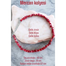 Mercan Taşı Kolye Orijinal 1.sınıf Kalite Doğal Taş Kolye Çelik Papağan Çelik Zincir Çelik Metal Mercan Renkli Mercan Renkli