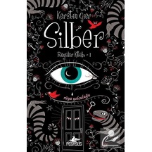 Silber Ciltli / Rüyalar Kitabı 1 / Kerstin Gier