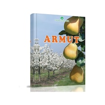 Armut Kitabı