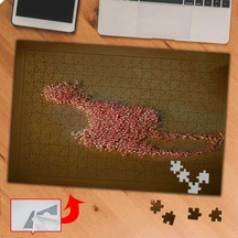 Göldeki Flamingo Kuşları 240 Parça Puzzle Yapboz Tablo-p131