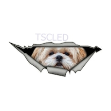 Shih Tzu Cinsi Sevimli Köpek Araba Sticker Yapıştırması