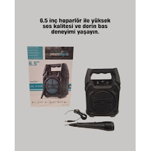 Astraltech 15w Ses Çıkışı İle Bluetooth Hoparlör Fm Radyo Ve Mikrofon Desteği