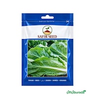 Safir Seed Yedikule 5701 Marul Tohumu 10 G