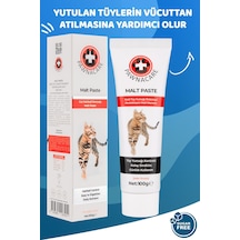Pawnacare Malt Paste Kedi Tüy Yumağı Önleyici Malt Macunu 100 G