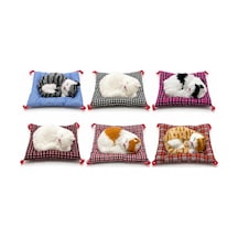 Yastıkta Uyuyan Kedi Sesli 01581337