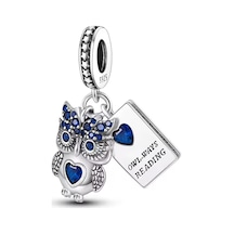 Mavi Taşlı Baykuş Ve Kitabı Sallantılı Charm Gümüş