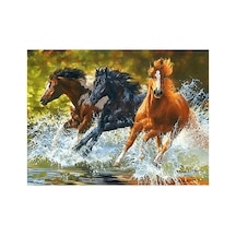 Koşan Atlar Çerçeveli 60x75 Sayılarla Boyama Hobi Seti