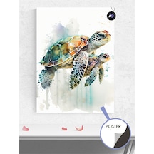 Caretta Kaplumbağaları Hayvan Poster - Afiş - Dekoratif Duvar Posteri
