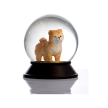Cam Ve Reçine Altın Patiler Köpek Pomeranian Boo Kayısı Kar Küresi Hediye Diğer