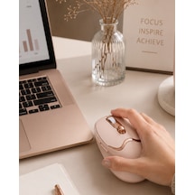 Ergonomik Tasarımlı Kablosuz Mouse Bluetooth Ve Usb Alıcılı - Lisinya