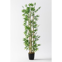 Yapay Bambu Ağacı 180 Cm Çok Renkli