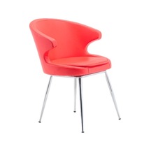 Bintaşmobilya Dali Kollu Sandalye (414811098)