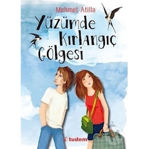 Yüzümde Kırlangıç Gölgesi - Mehmet Atilla - Tudem Yayınları