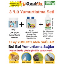 Yüksek Yumurta Verimi İçin 3'lü Kombinasyon Seti - Tavuk, Kaz, Ördek, Hindi, Bıldırcın Yumurtlaxxxx