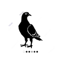 Paçalı Güvercin Sticker Yapıştırması 17Cm
