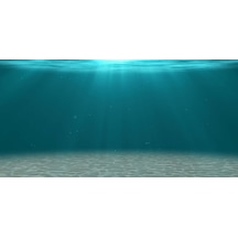 Kanki Pet KP1055206 Akvaryum Arka Fon Yapıştırma 105 CM