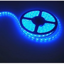 Dış Mekan Led 4040 Mavi 1mt