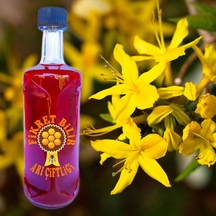 Fikret Bilir Arı Çiftliği Sarı Kantaron Çiçeği Kızıl Yağı 100 ML