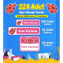 Uğur Böceği Temalı Okul Kreş Kişiye Özel İsim Etiket Seti - Model 128 Çok Renkli