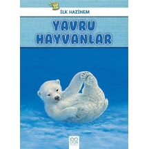 Yavru Hayvanlar-İlk Hazinem - Denise Ryan - 1001 Çiçek