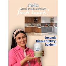 Stella Boya Beyaz 1lt