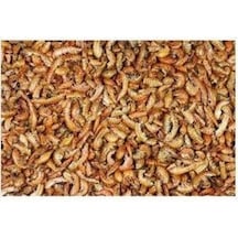 Gammarus Kurutulmuş Karides Balık Kaplumbağa Yemi 250 G