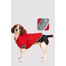 Köpek Mont - Red Design Su Geçirmez Köpek Yağmurluğu, Küçük Irk Köpek Kıyafeti