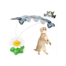 Buffer Hareketli Dönen Kelebek Pilli Kedi Oyuncağı