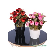 Yapay Çiçek Sitesi Plastik Saksıda Yapay Ranunkulus Tanzimi 2'li Set 30 Cm Kırmızı - Pembe