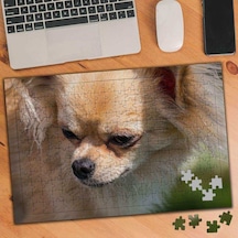 Pomeranian Cins Köpek 240 Parça Puzzle Yapboz-1350993