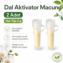 2 Adx2 Gr Orkide Keiki Macunu Orkide Yavru Oluşturucu Büyüme Hormonu Orkide Çoğaltma Macunu 100