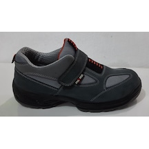 Pars 116 S1