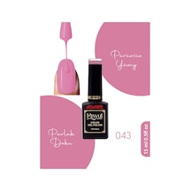 Adanil 15 ML Misyul Profesyonel Kalıcı Oje No:043