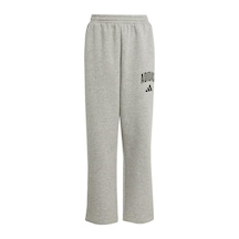 Adidas Çocuk Eşofman Altı J Clgt Fl Pnt Jw2386 Gri