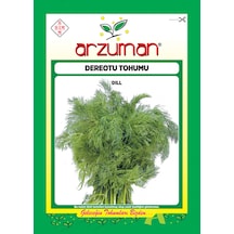 Arzuman Dereotu Tohumu 25 G