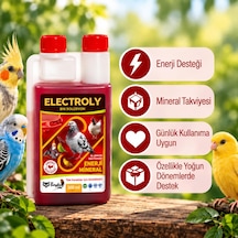 Electroly B16 Solüsyon 500 Ml