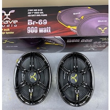 Brava Audio Oval Kayık Midrange 900 Watt 100RMS 2 Adet