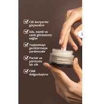 Inside Out Collagen Boost Spf 50 Krem For Collagen Synthesis Support 50 Ml