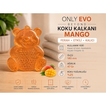 Araç Koku Kalkanı Sevimli Ayıcık Mango Kokulu
