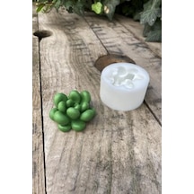 Concept Moonstone Sukulent Mum Kalıbı Silikon